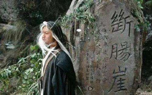 那就要从金庸的大作《神雕侠侣》说起,8090一代基本都看过神雕侠侣