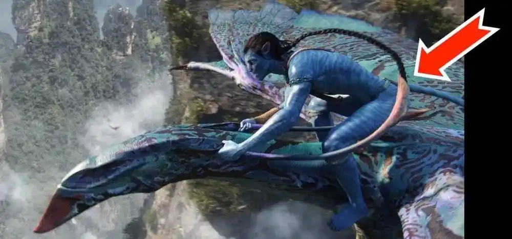 这个电影在后面还展示了另一种场景,他的阿凡达骑到了飞龙的身上,他的