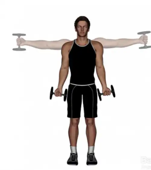 想要锻炼三角肌,做好这5个哑铃训练动作,你会看到效果