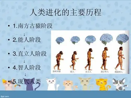 人类演变简笔画