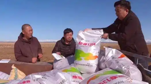 在希望的田野上塔城市种好粮食端好饭碗小麦播种正当时