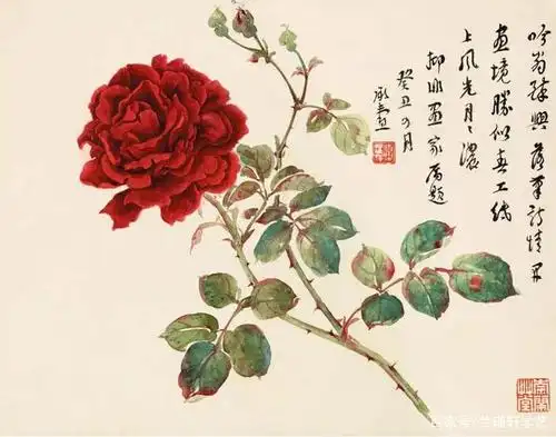 "月季只应天上物,四时荣谢色常同"陆抑非写意花鸟画月季篇