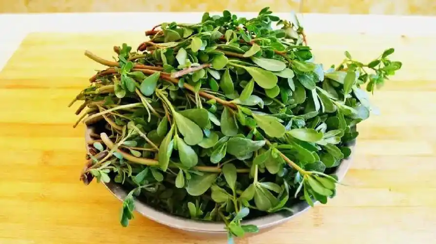 马齿苋干菜蒸肉