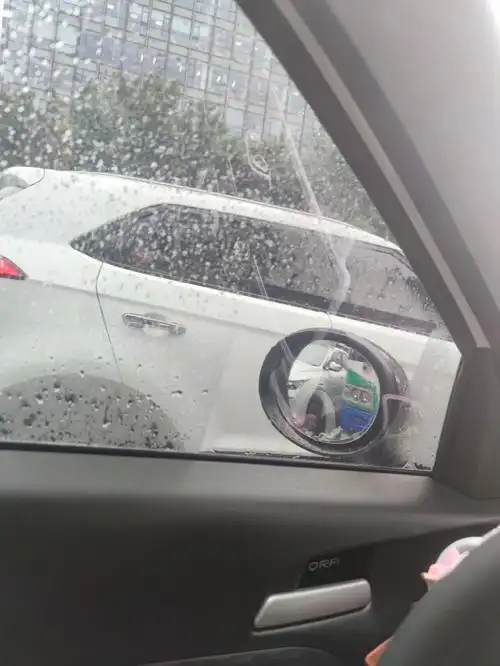 欧拉黑猫外玻璃起雾