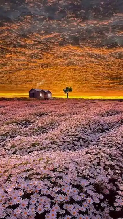 这么美的风景当然要分享啦