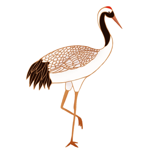 仙鹤手绘图片大全_仙鹤手绘图片素材【png免费下载】-90设计网