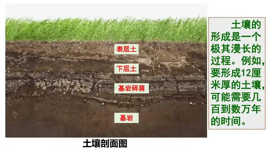 教科版2017秋四年级科学下册31岩石与土壤的故事课件15张ppt