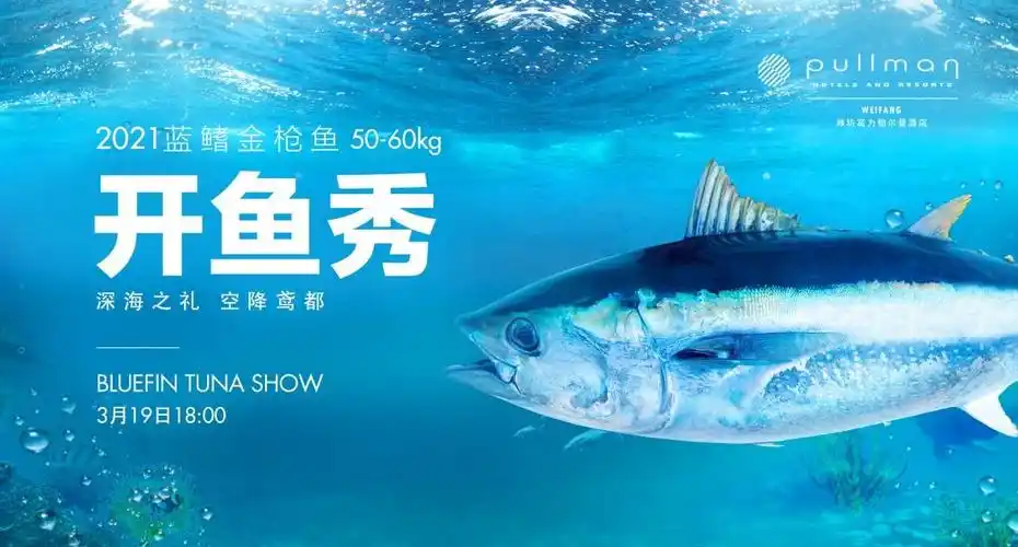 蓝鳍金枪鱼开鱼秀亮相潍坊富力铂尔曼酒店