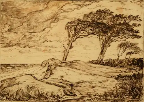 结识了版画家舒慈野司马,在其指导下学习了铜版画创作技法,并在回国时