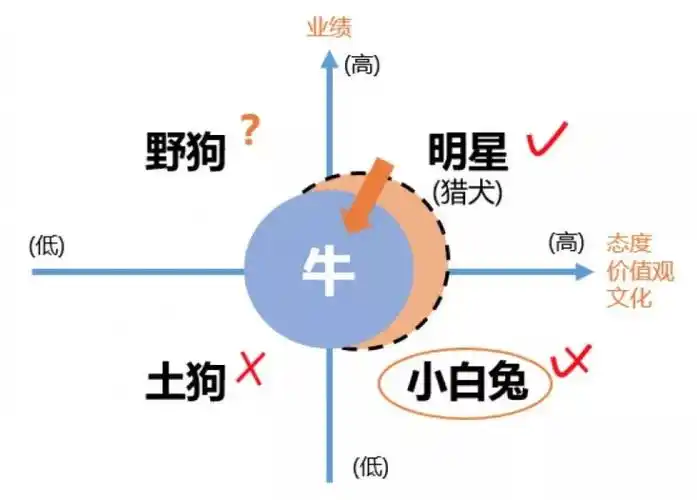 关于"小白兔员工"这一说法,一开始来自于马云.什么是"小白兔员工"?