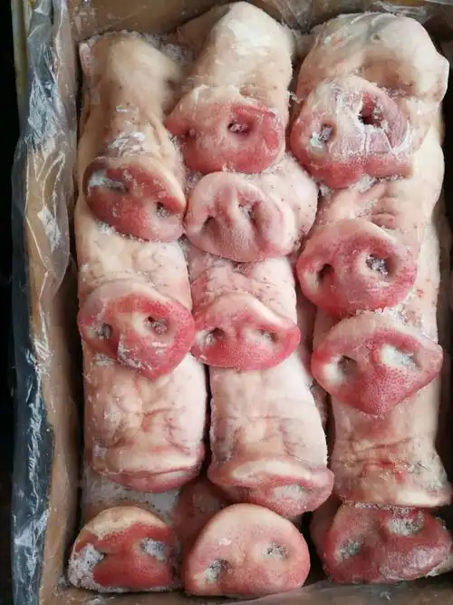 四川地区厂家直销 精选猪拱嘴 带肉 18公分长 优质低价猪副产