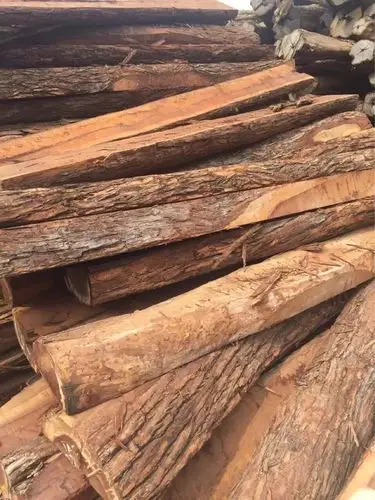 编辑 非洲红酸枝,也称红檀,蝶形花科铁木豆属,学名是.