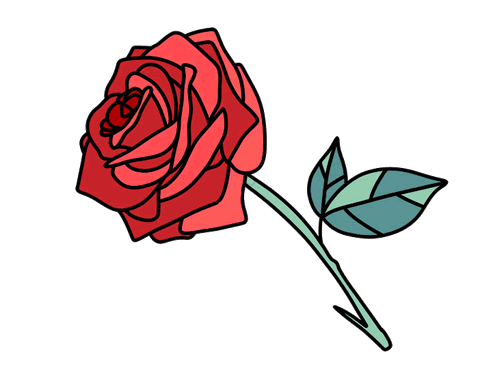 第一步:画出玫瑰中心的花瓣.下面来跟着以下步骤画玫瑰简笔画