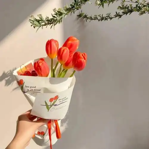 朋友圈配图,封面配图,主页配图