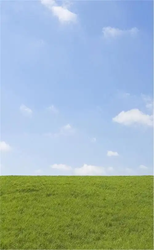 保护眼睛的桌面壁纸,绿色桌面背景图护眼(高清养眼绝美手机壁纸102张)