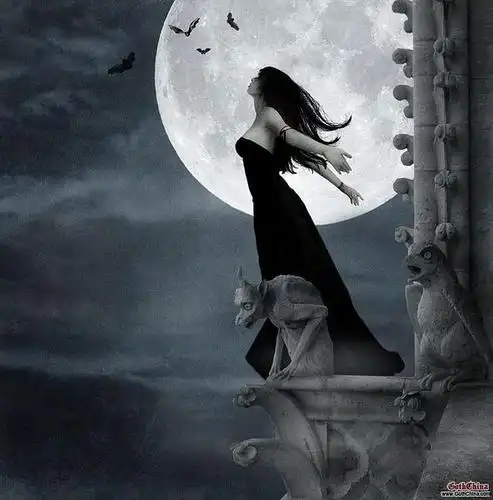 软绵绵的相册-哥特式死亡