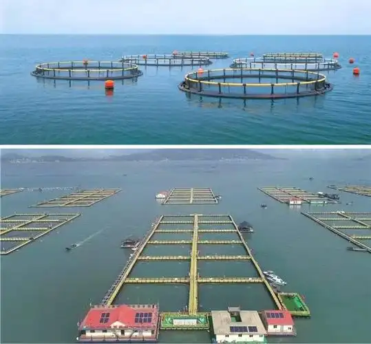 中财hdpe深海养殖网箱系统助力海洋强国建设蓬勃发展