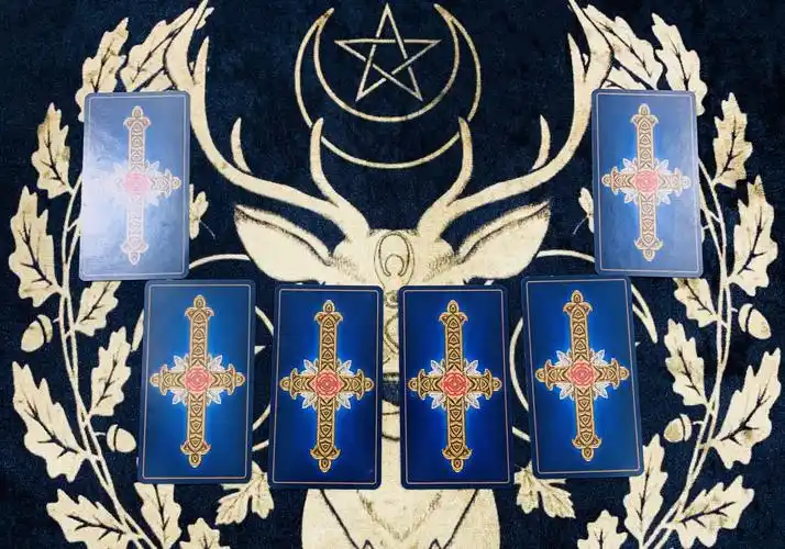 第一张:圣杯侍从