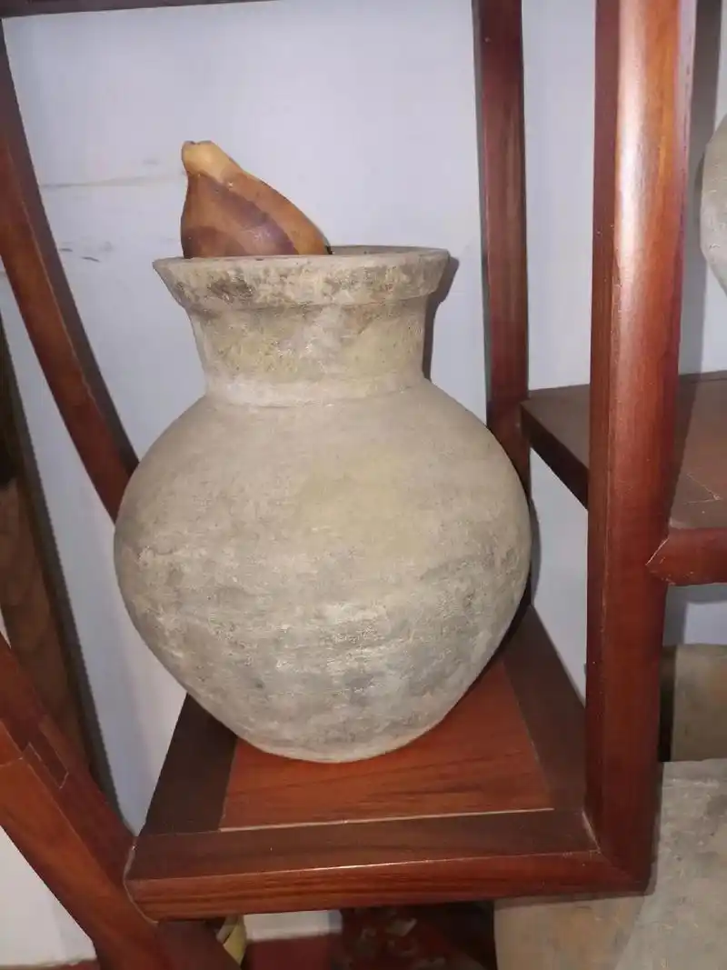 汉代陶罐插花欣赏佳品,喜欢的来. - 抖音