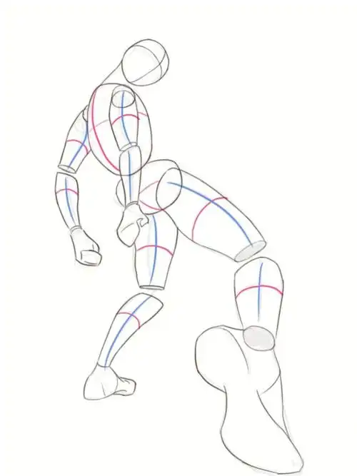 人体基础动态学习补打卡