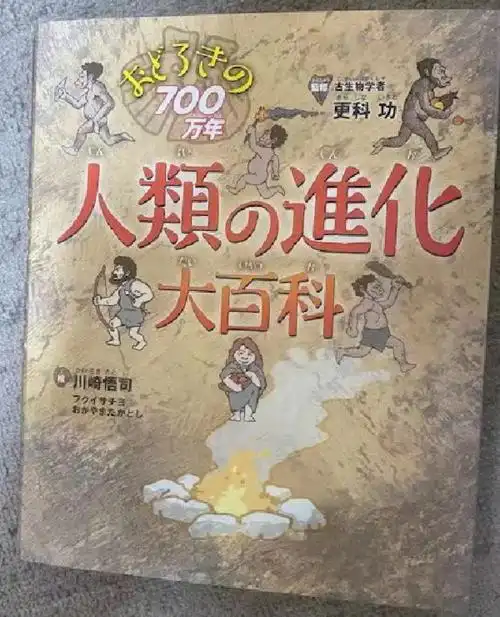 《人类的进化》日本古生物学者川崎悟司是一个既能画又能写的大神,他