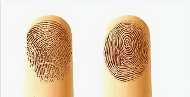 簸箕|顺口溜|老祖宗_网易订阅