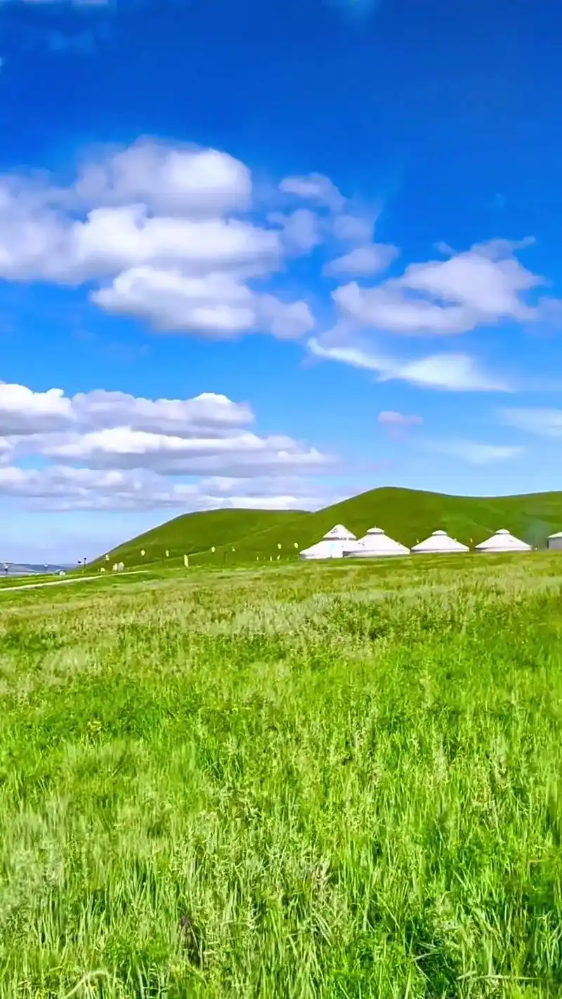 陪你一起看草原 美丽的蒙古包 #抖音图文来了 #草原风情 # - 抖音