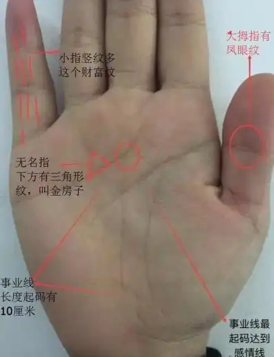 生命线细长,金星丘饱满,体质较好,生命线尾端分叉明显,营养不协调.