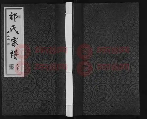 祁氏宗谱[12卷]第10本