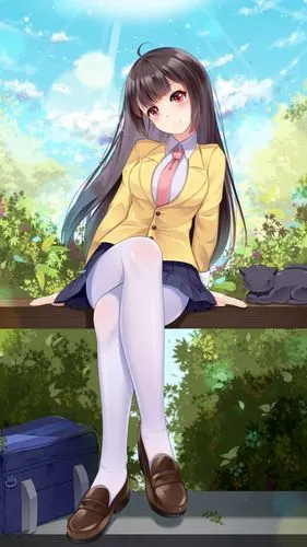 二次元黑丝白丝腿系列美图zt