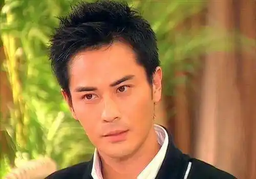 原创郑嘉颖有多大魅力50岁娶小22岁娇妻十亿千金还是最美港姐