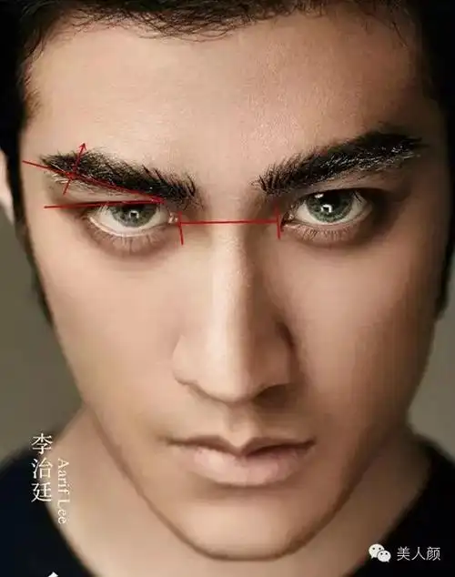 只说不同点:1,眉弓骨应该更高,眉眼间距更近,形成一种"眉压眼"的感觉