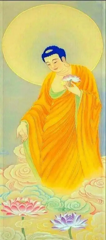 南无阿弥陀佛 - 堆糖,美图壁纸兴趣社区