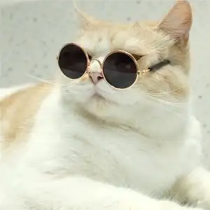 猫咪拍照道具搞怪宠物墨镜装饰小型太阳镜网红圆形买来玩玩就好哦