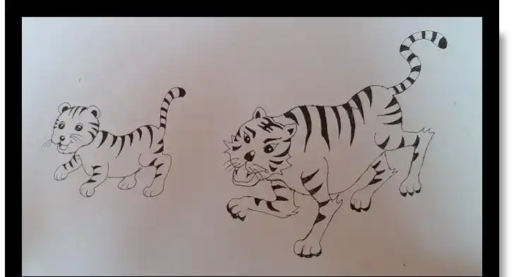简笔画教程一招分清猫和虎老虎