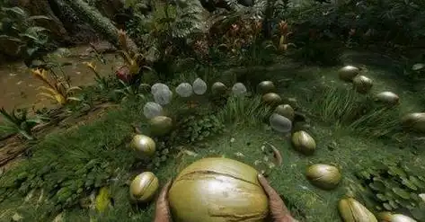 绿色地狱日期有什么用