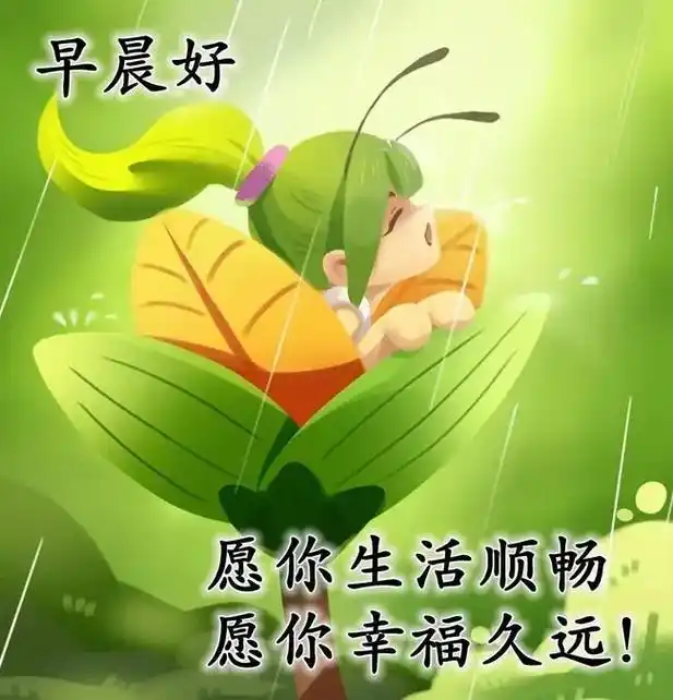 早晨好!下雨啦9715 - 抖音