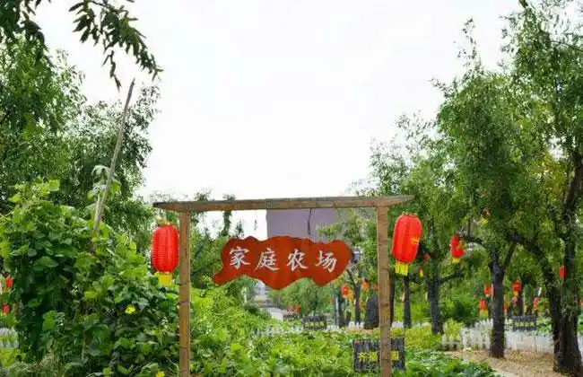 什么是家庭农场家庭农场模式简介