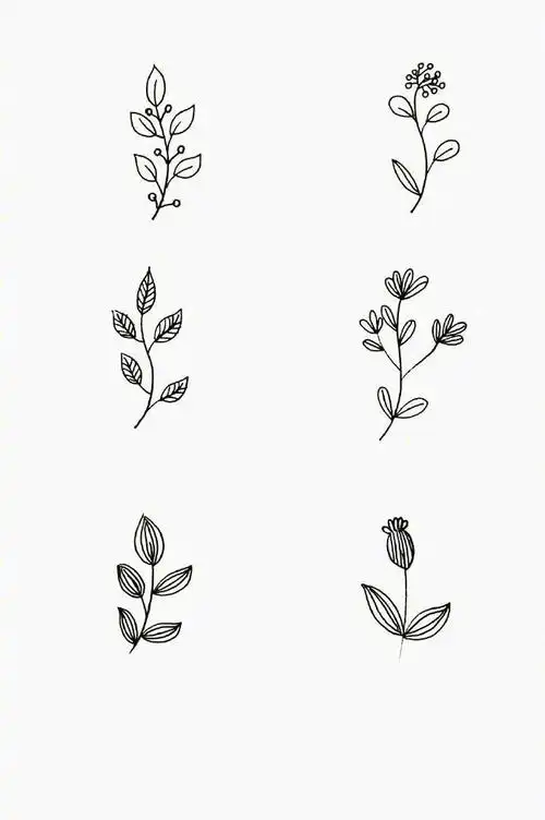 干净的叶子简笔画