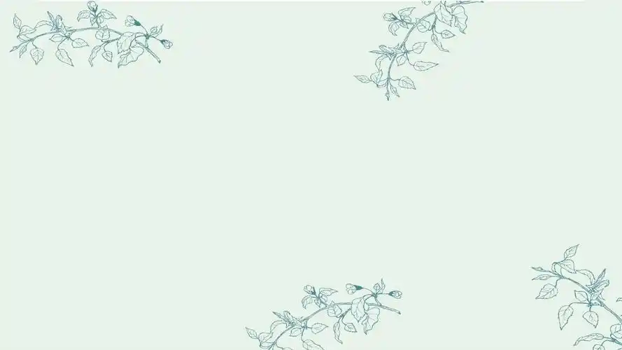 淡雅简约小清新通用ppt模板_word文档在线阅读与下载_免费文档