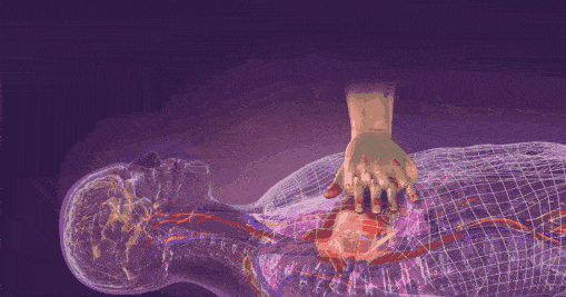 509_267gif 动态图 动图