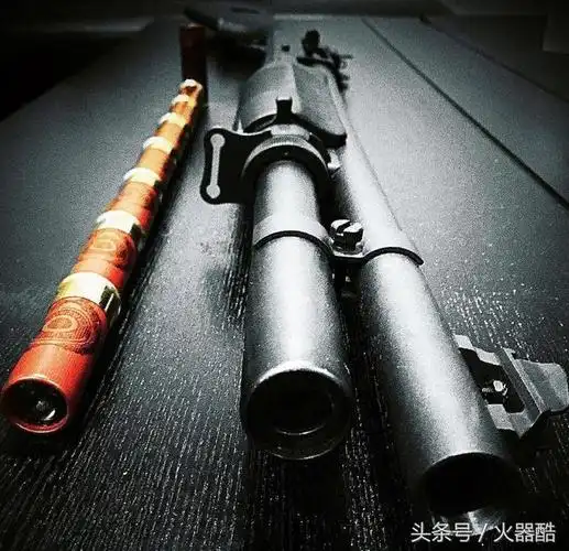 盐巴散弹枪,纸板枪 散弹(大喷子的威慑力-霰弹枪美图欣赏)