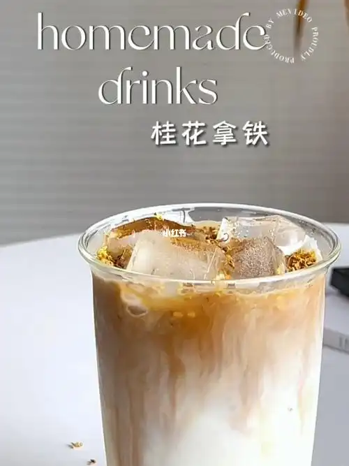 每日一饮桂花拿铁