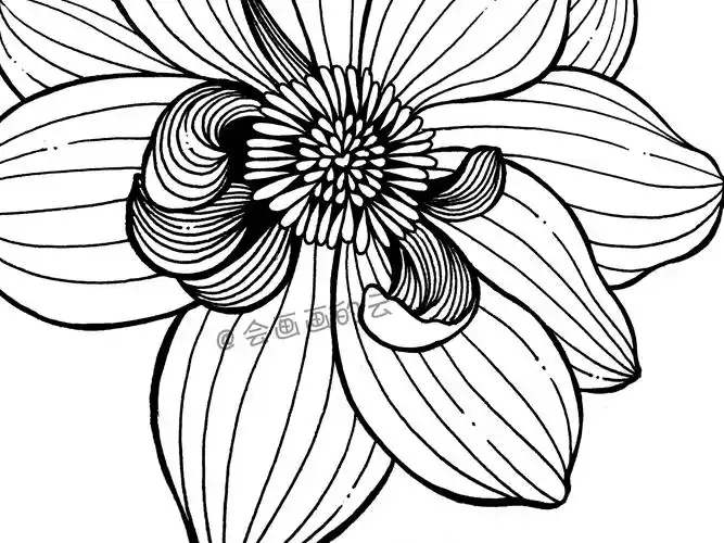 简笔画教程,详细步骤图教你画一朵花,一支笔就可以画