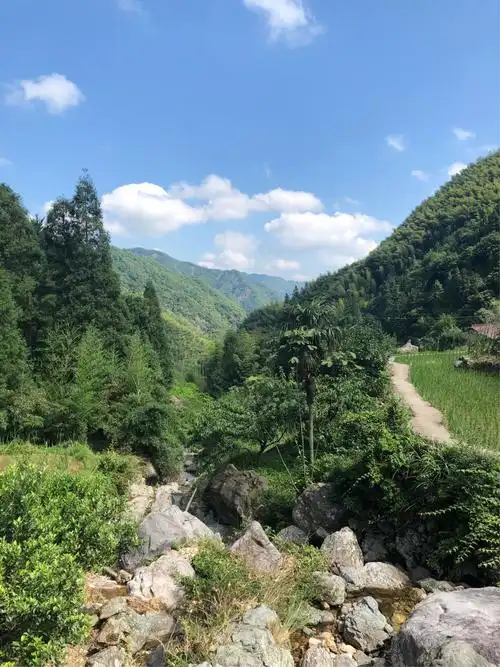 自驾游浪浙东之淡竹原始森林