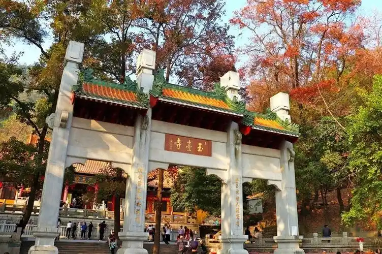 特价98元江门圭峰山赏枫叶邂逅千亩葵树林打卡网红彩虹村