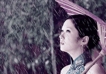 343_240gif 动态图 动图