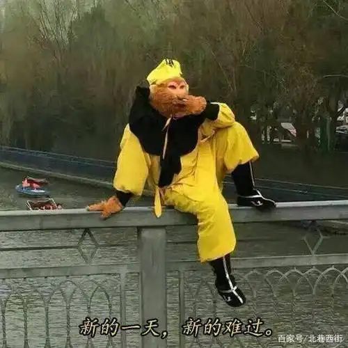 有哪些好笑而且沙雕的句子或者段子?