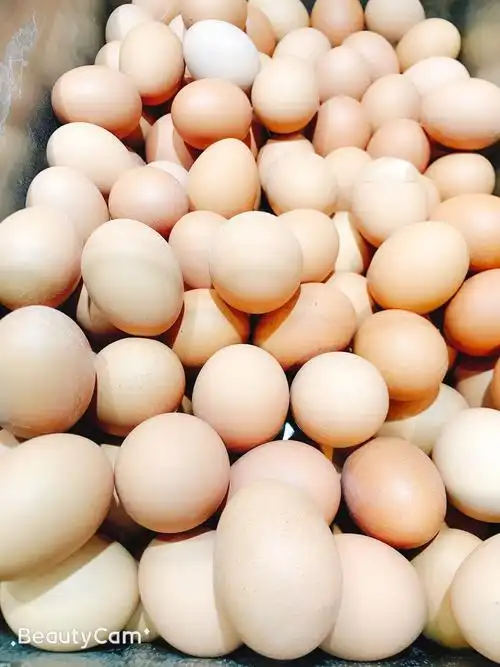 白鸡蛋