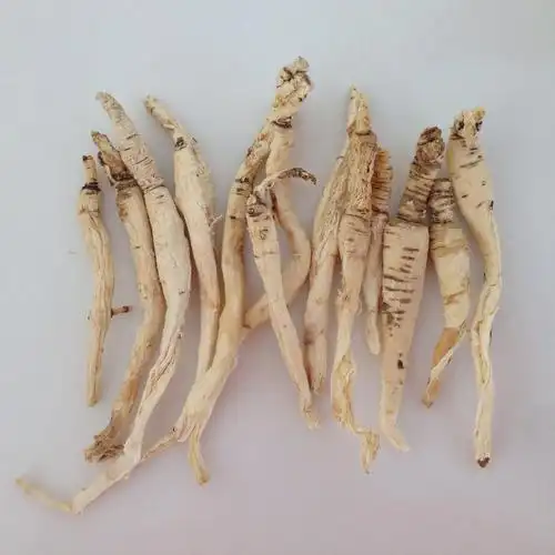 将军山野生沙参